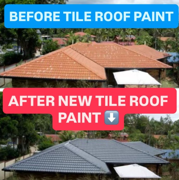 Roof Painting in Irvine, CA (1)