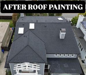 Roof Painting in Irvine, CA (2)