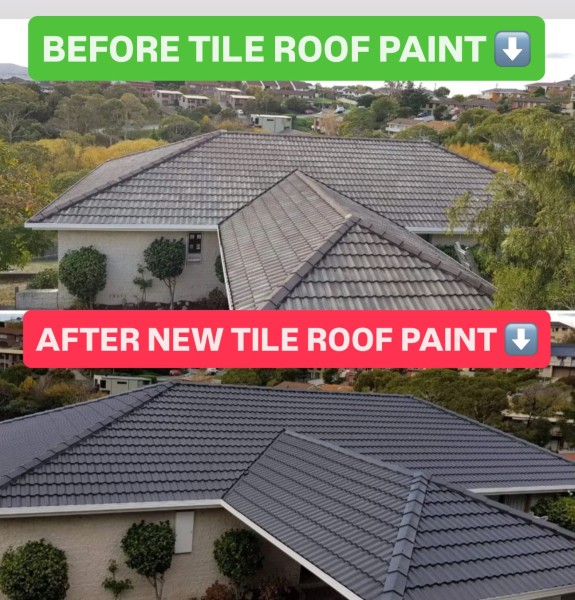 Roof Painting in Garden Grove, CA (1)