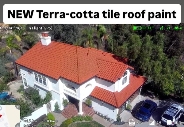 Roof Painting in Santa Ana, CA (1)